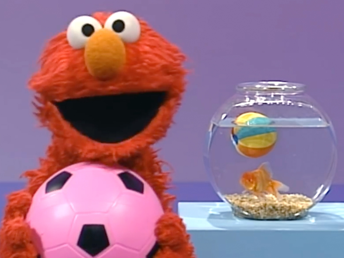 Elmo's world play ball