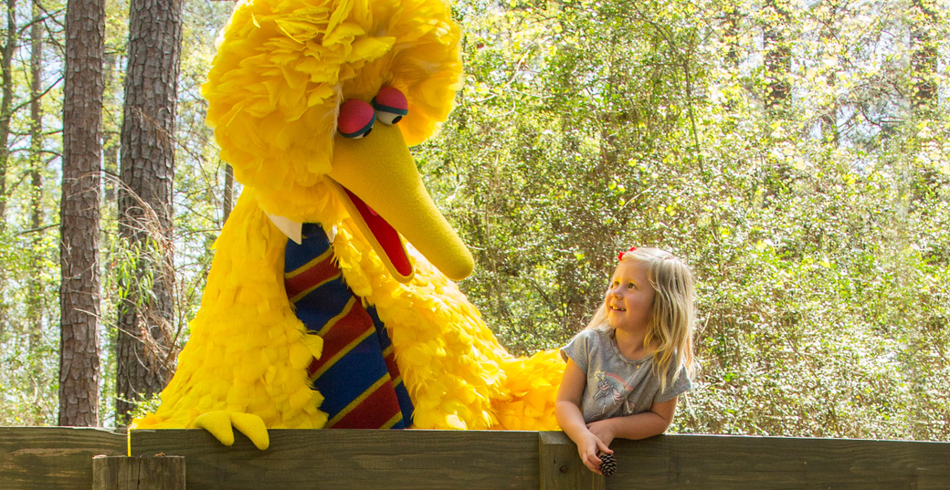 Big Bird and a young girl smile at each other in scenic foliage