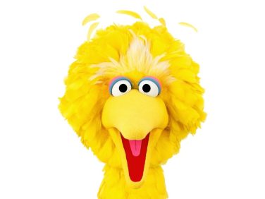 Big Bird smiles at us.