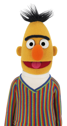 Up close portrait of Bert