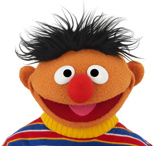 Close up of Ernie