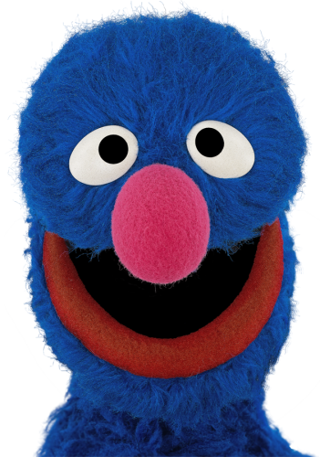A close-up of Grover
