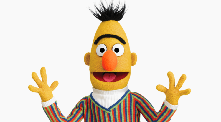 Bert - wide 5