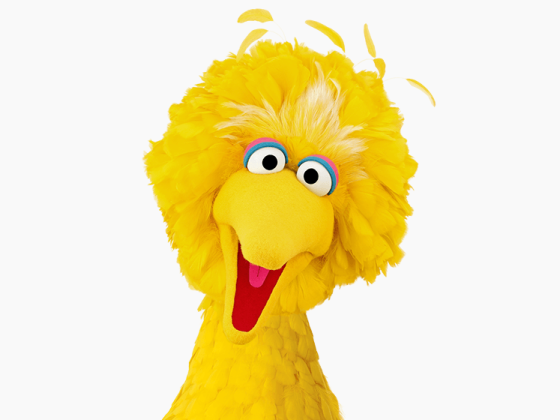 Big Bird - Sesame Workshop