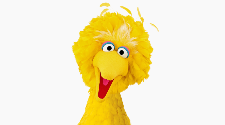 Big Bird smiling