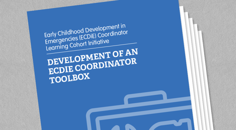 Development of an ECDIE Coordinator toolbox