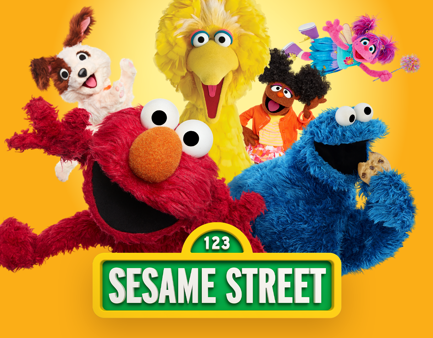 Learn Along with Sesame Season 1 Digital Download for Free on