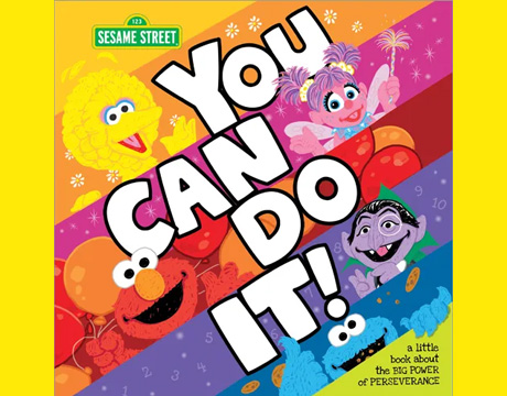 You can do it book