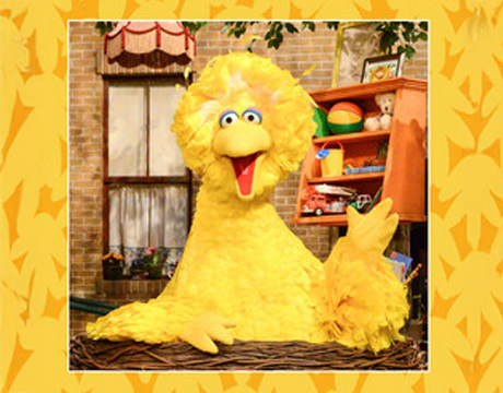 Big Bird Spotify Album