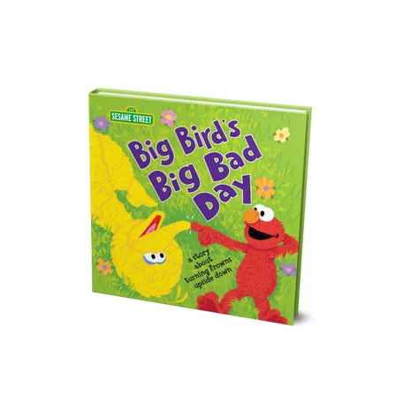 Big Bird's bad day book