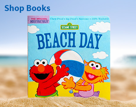 Beach Day book