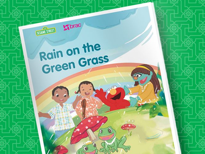 Rain on the Green Grass Storybook