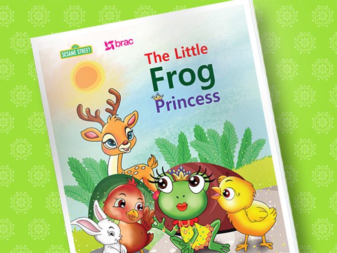 The Little frog princess storybook