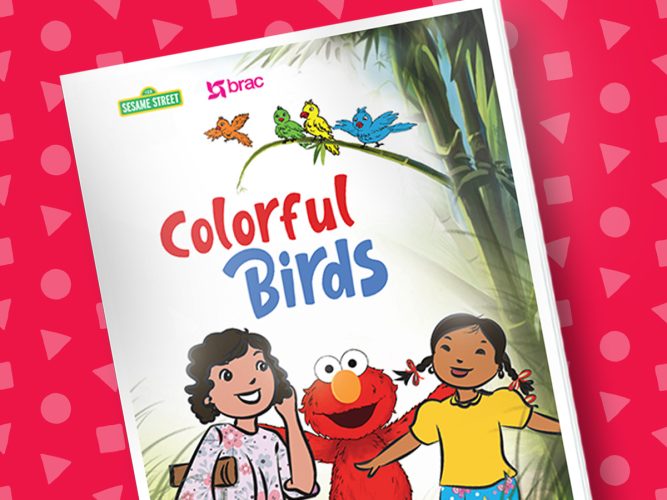 Colorful Birds storybook