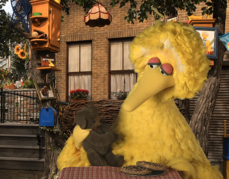 Big Bird holding Radar in his nest