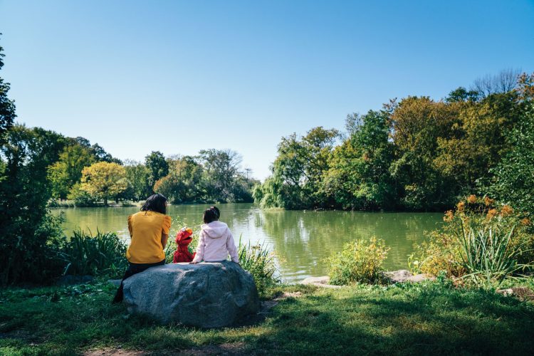 Elmo and friends sitting by a lake.