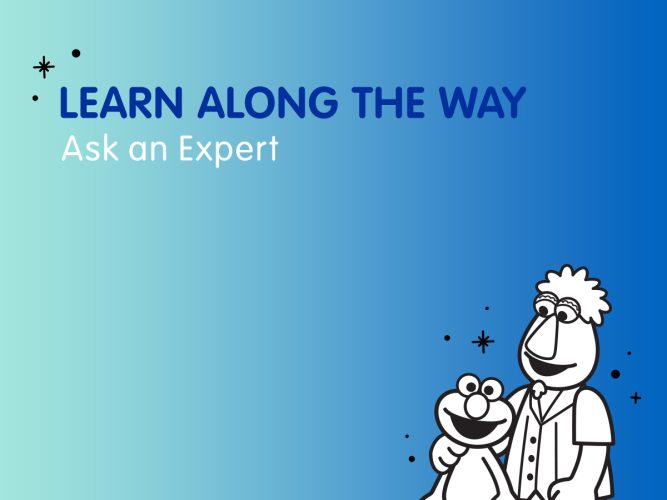 Ask an Expert Learning Along the Way