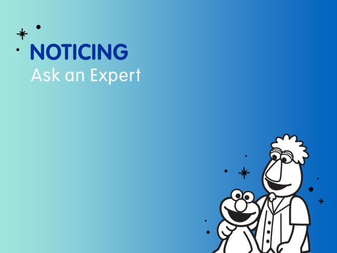 Ask and Expert Noticing