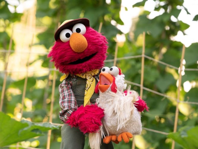 Elmo and a Chicken.