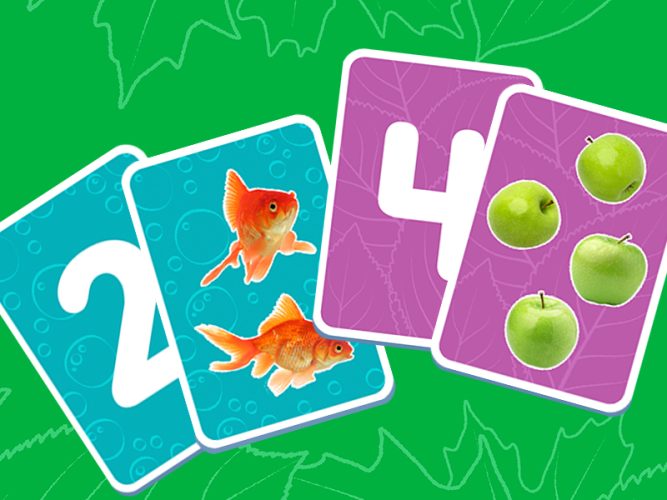 memory match card set