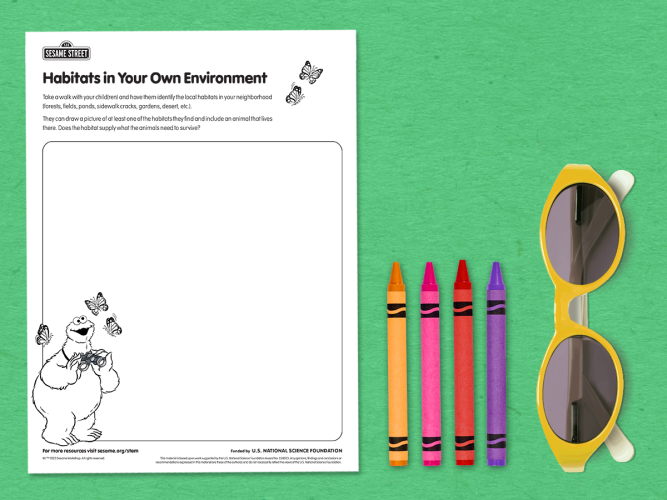 Habitats in Your Own Environment printable.
