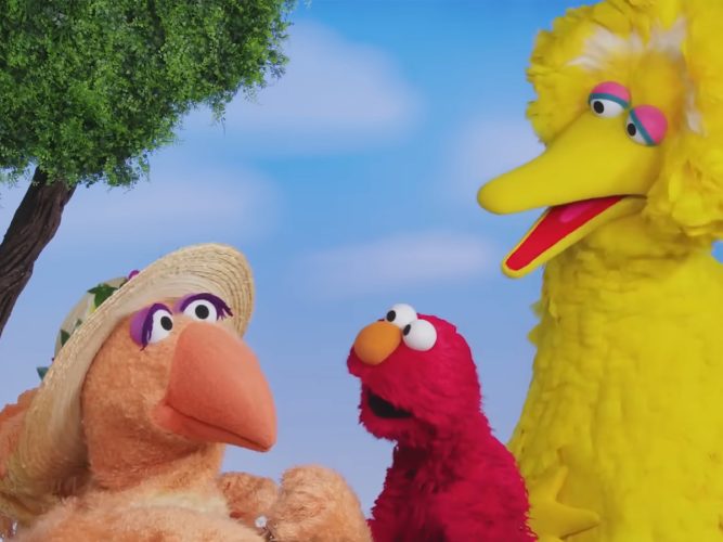 Elmo and Big Bird in Hawaii.