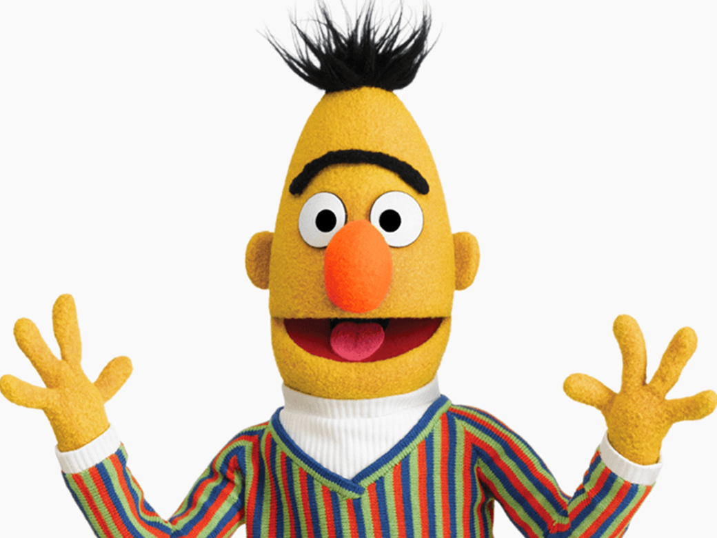 Bert