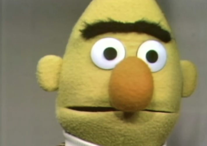 Bert