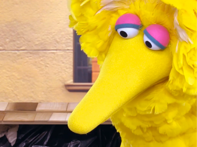 Big Bird