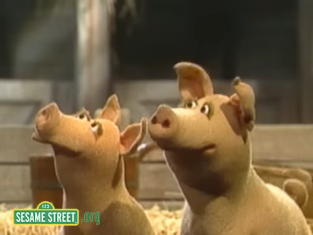 Two Pigs