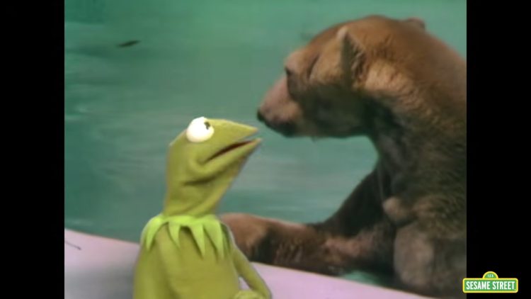 Kermit the Frog with a Bear
