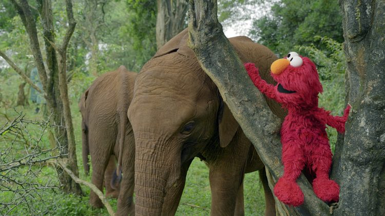 elmo and elephant